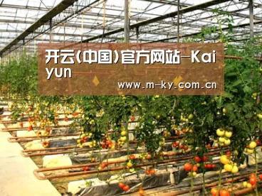 种植基地二