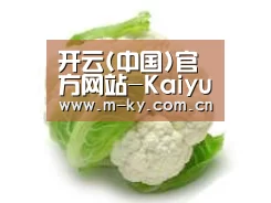 产品名称九