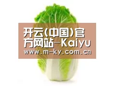 产品名称一(图1)