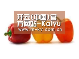 产品名称六(图1)