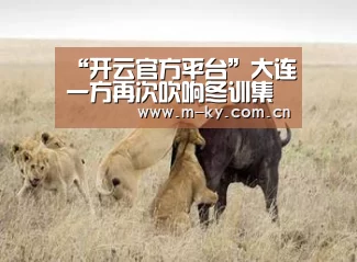“开云官方平台”大连一方再次吹响冬训集结号!门将位置已有新人现身球队冬训(图1) 开云中国官网