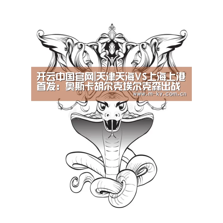 开云中国官网|天津天海VS上海上港首发:奥斯卡胡尔克埃尔克森出战(图1) 开云官网