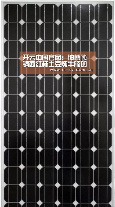 开云中国官网:坤博砂锅西红柿土豆炖牛腩的做法(图4) 开云中国官网